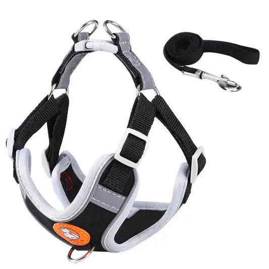Adjustable Dog Harness & Leash