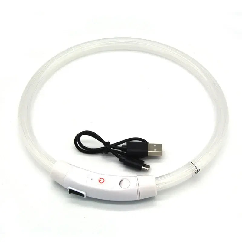 LED Glow Pet Collar