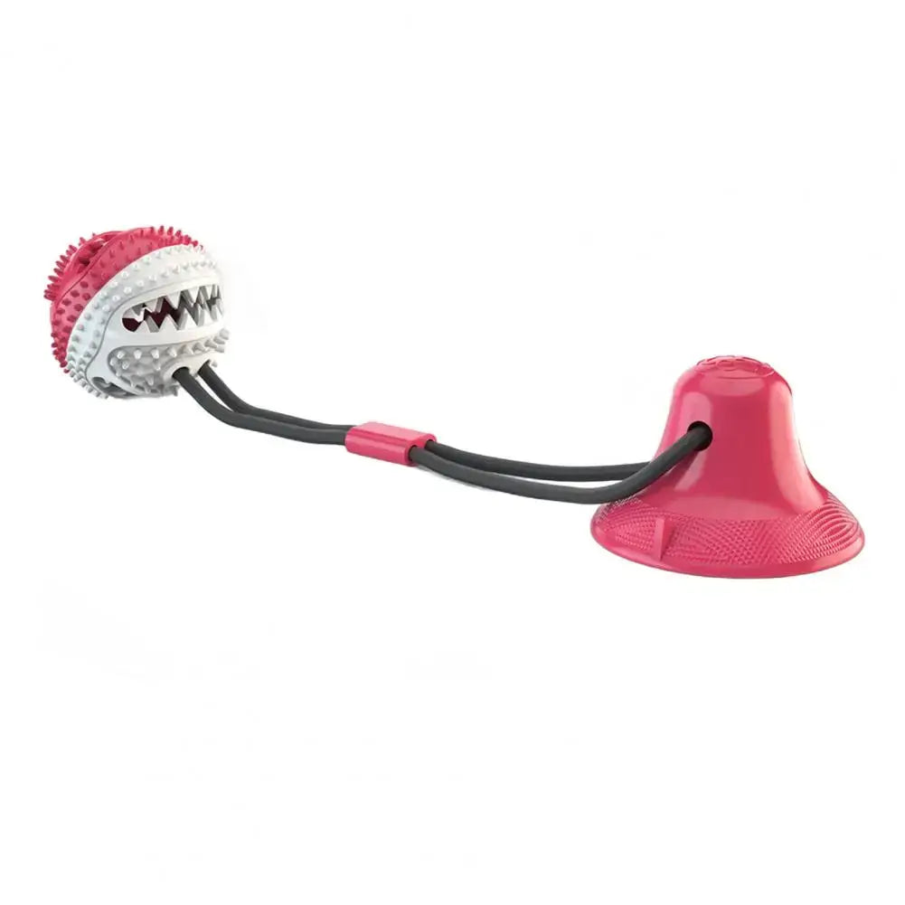 Durable Dog Chew Toy