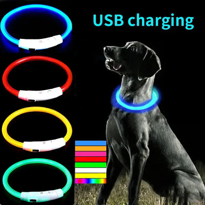 LED Glow Pet Collar