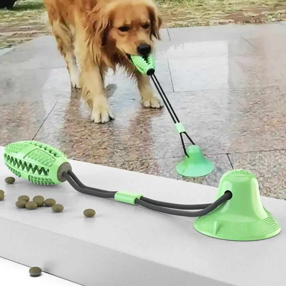 Durable Dog Chew Toy