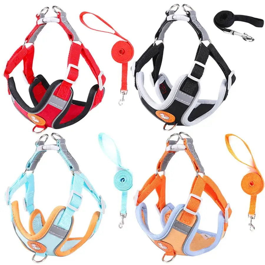 Adjustable Dog Harness & Leash