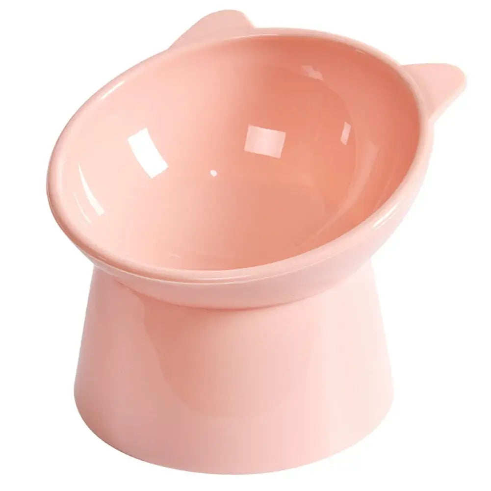 Ergonomic Tilted Cat Bowl