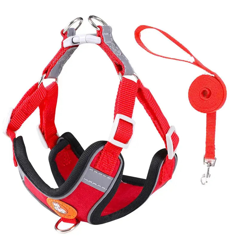 Adjustable Dog Harness & Leash