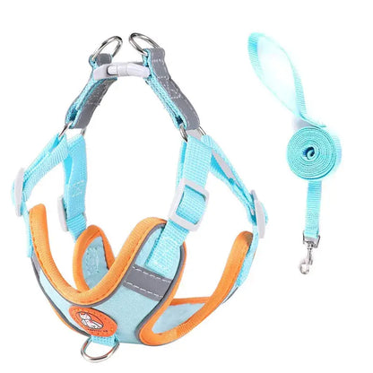 Adjustable Dog Harness & Leash