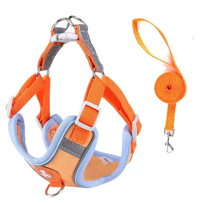 Adjustable Dog Harness & Leash