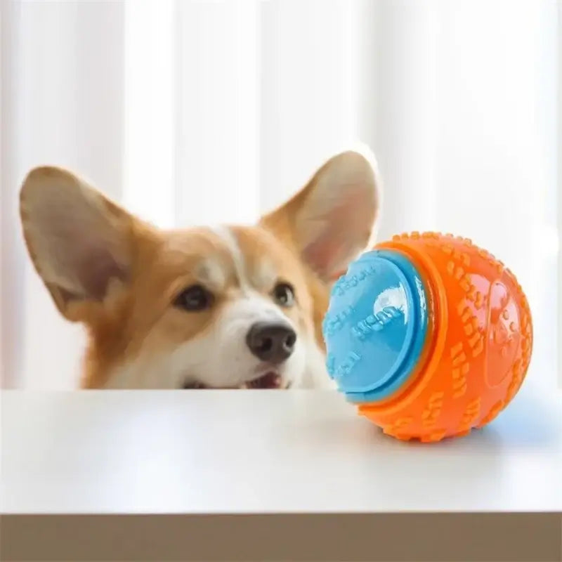 Durable Rubber Squeaky Dog Bal