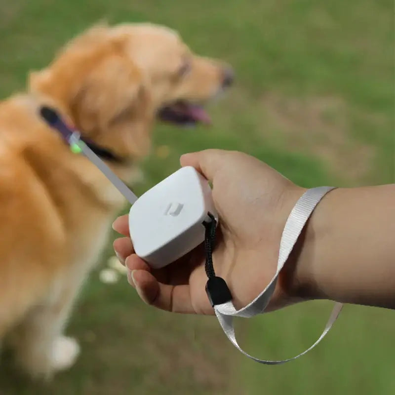 Retractable 2M Pet Leash